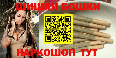 СК Пугачёв
