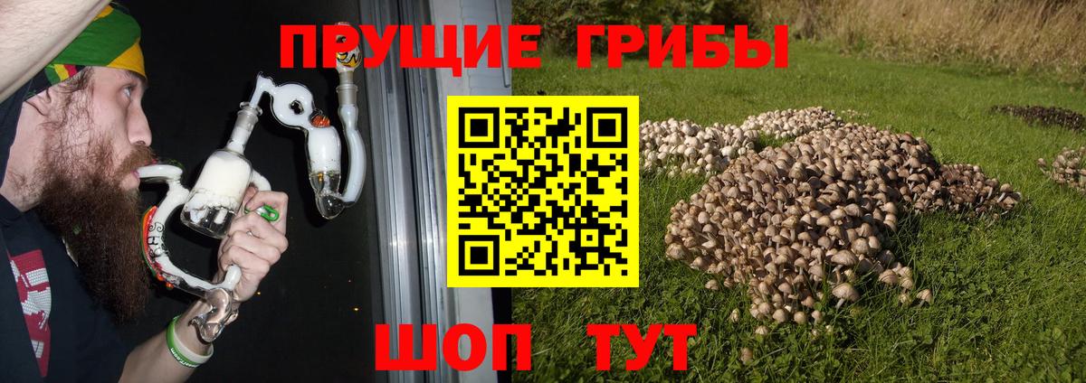 Галлюциногенные грибы прущие грибы  Вход с VPN  Рубцовск 
